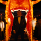 deakins skyfall